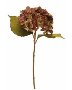 46cm Dried Image Hydrangea Single Purple