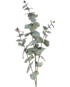 Large Eucalyptus Spray
