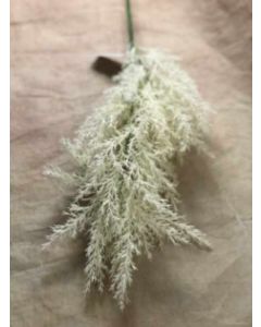 Pampas Grass Spray White