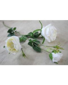 English Rose Spray with Buds Ivory