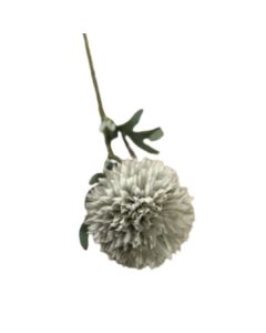Single Allium On Stem Grey